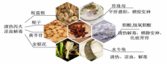 抗病毒治流感 还需明兴清开灵